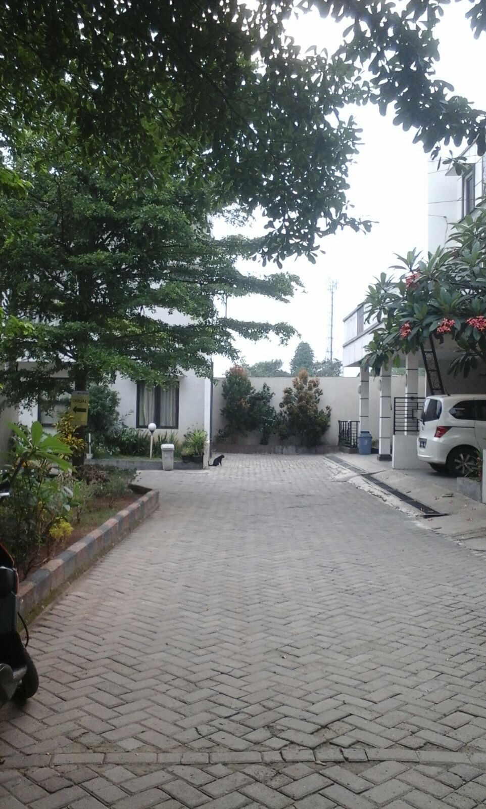 Rumah Minimalis 2 Lantai Masih Standar Jasmine Residence Bintaro